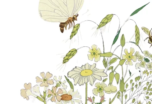 cycle nature et vivant - Illustration : DR