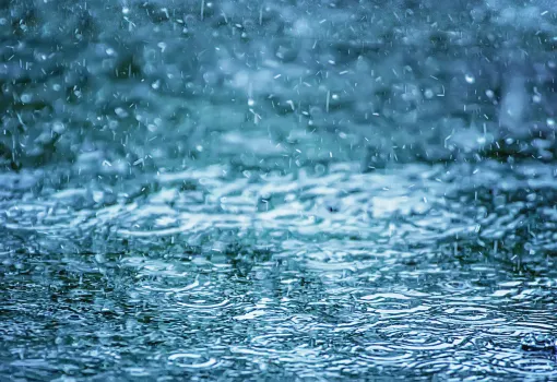 Pourquoi cette pluie ?