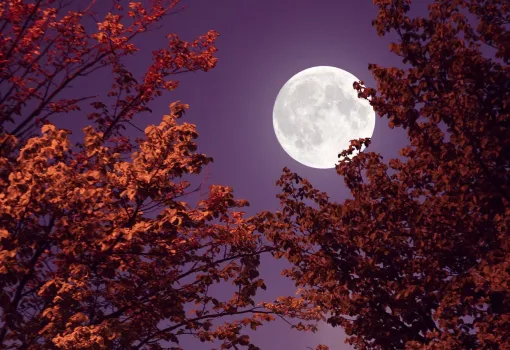 Chanson à lune - Dalcroze