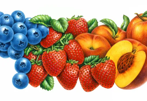 visuel A boire et à manger