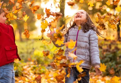 L'automne