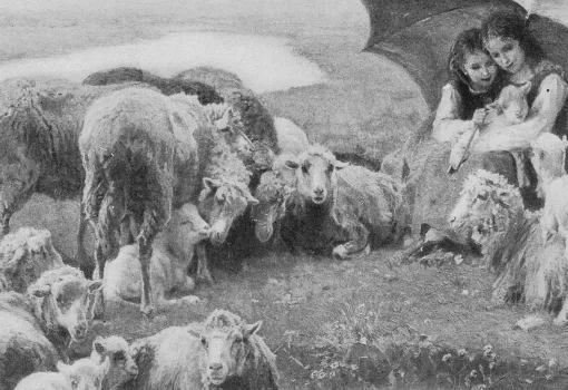 Bergères et moutons