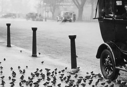 Dans la rue