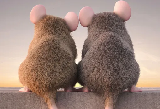 Visuel souris