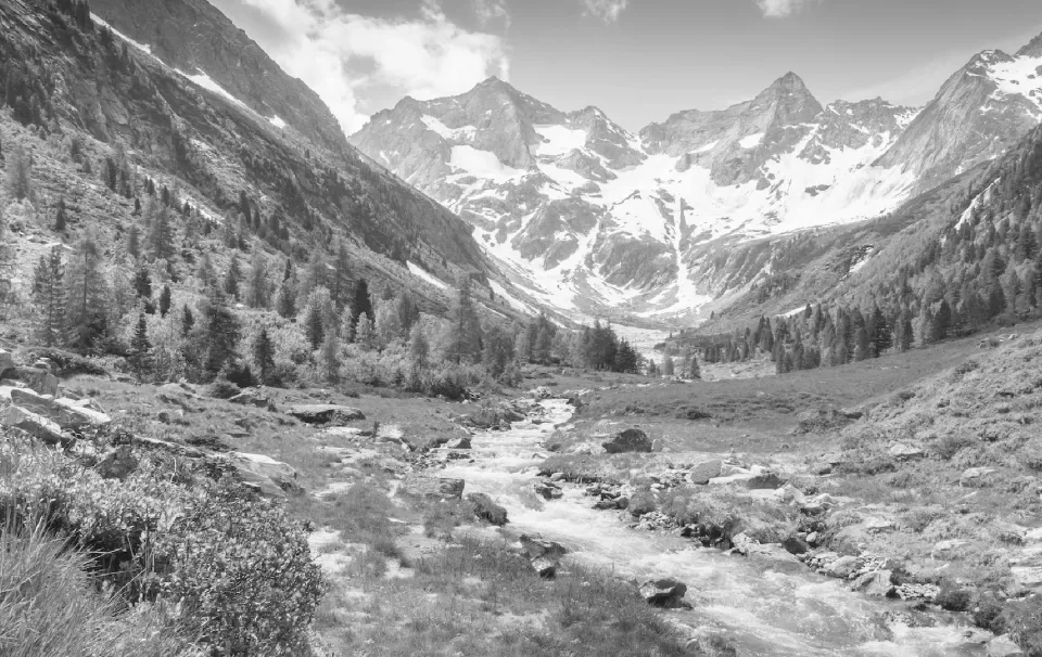 Cycle nature et vivant