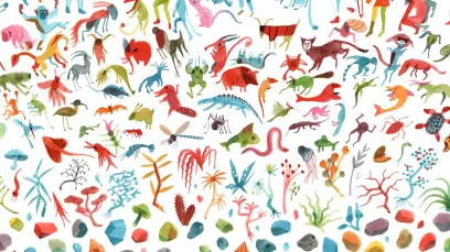 Illustration : Brecht Evens