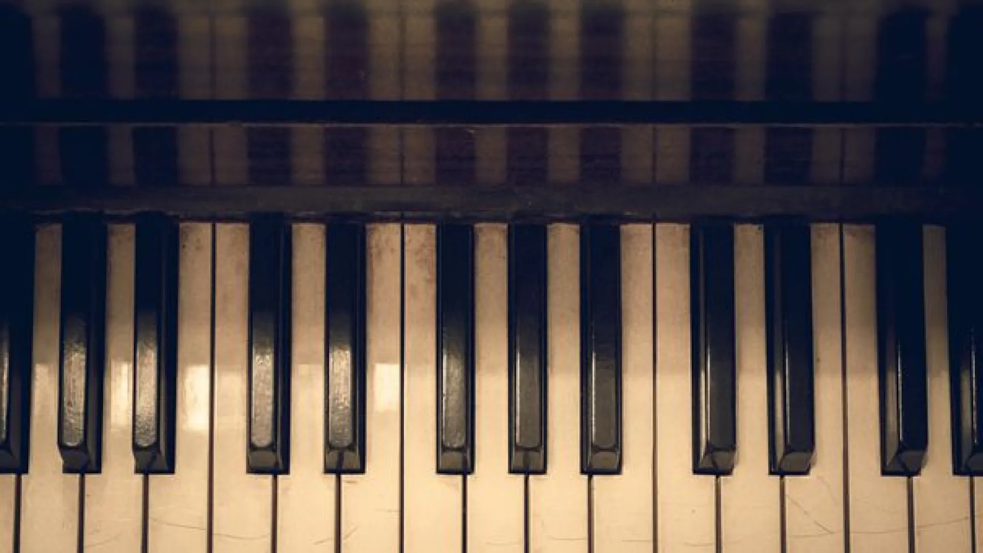 Photo : Getty - Joanna Cepuchowicz / EyeEm