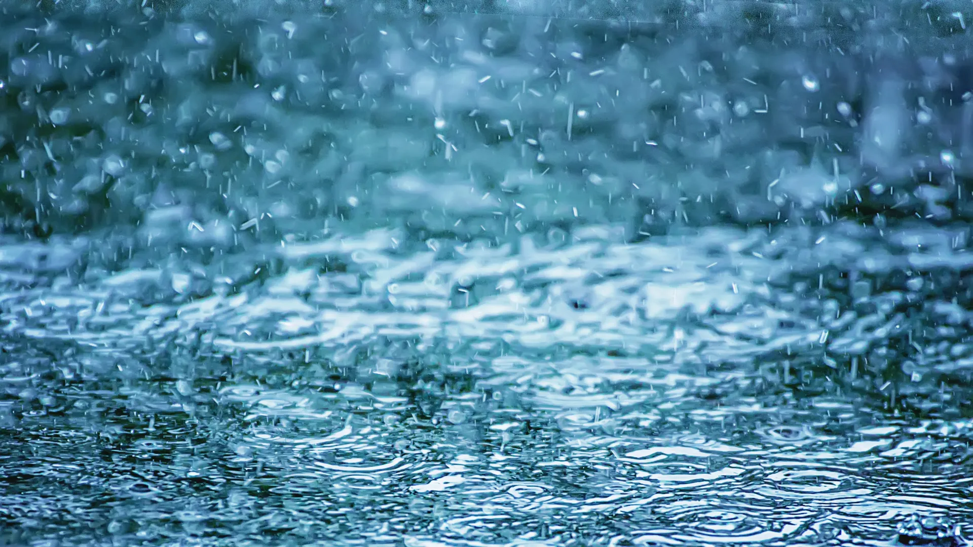 Pourquoi cette pluie ?