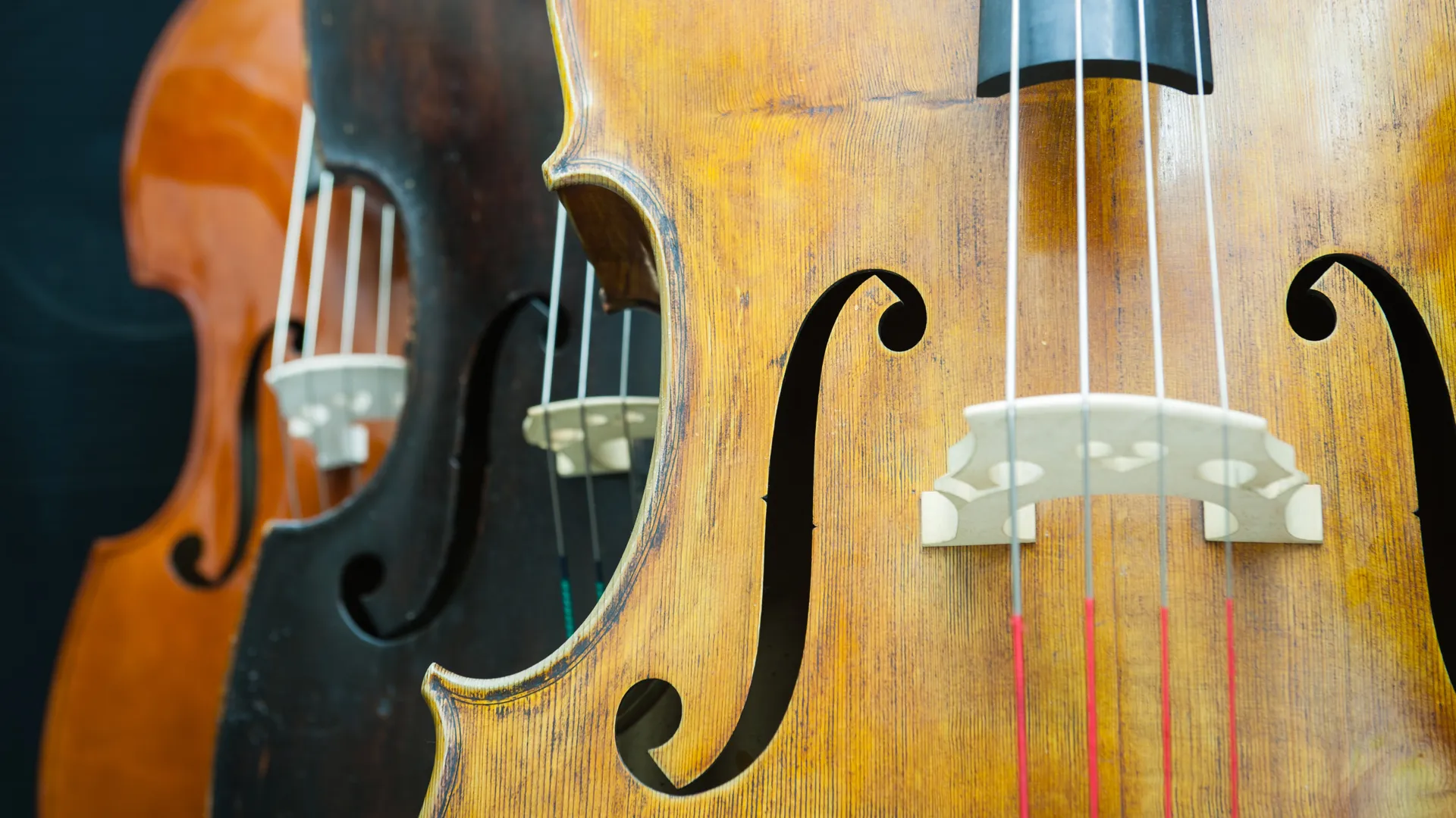 Les contrebasses
