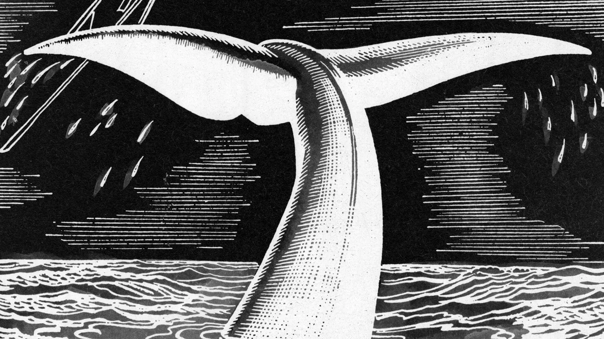 Moby-Dick
