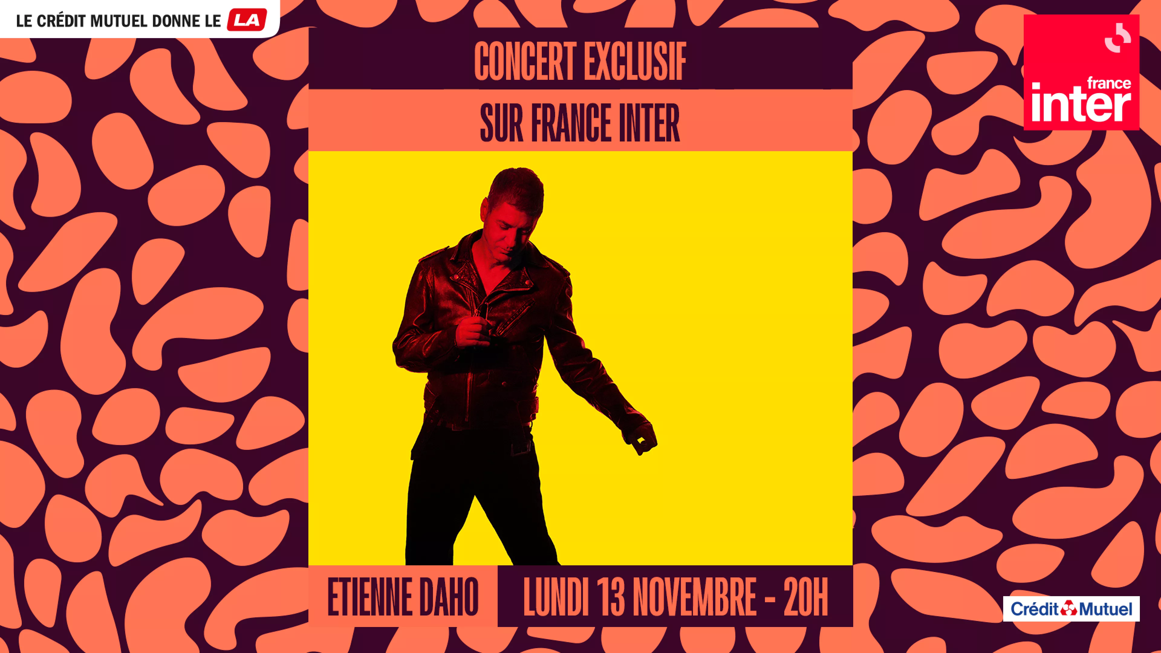 Etienne Daho en concert