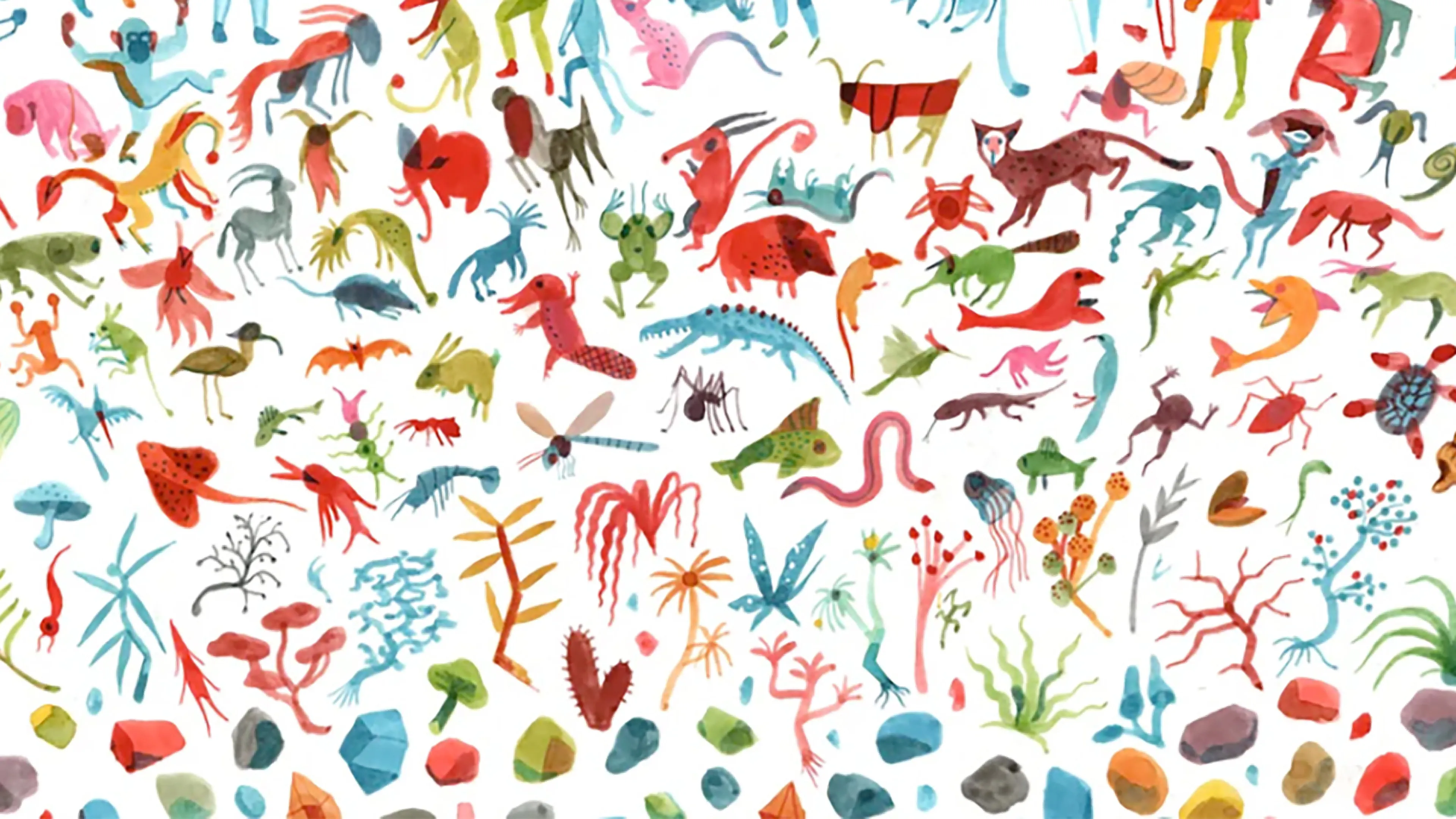 Illustration : Brecht Evens