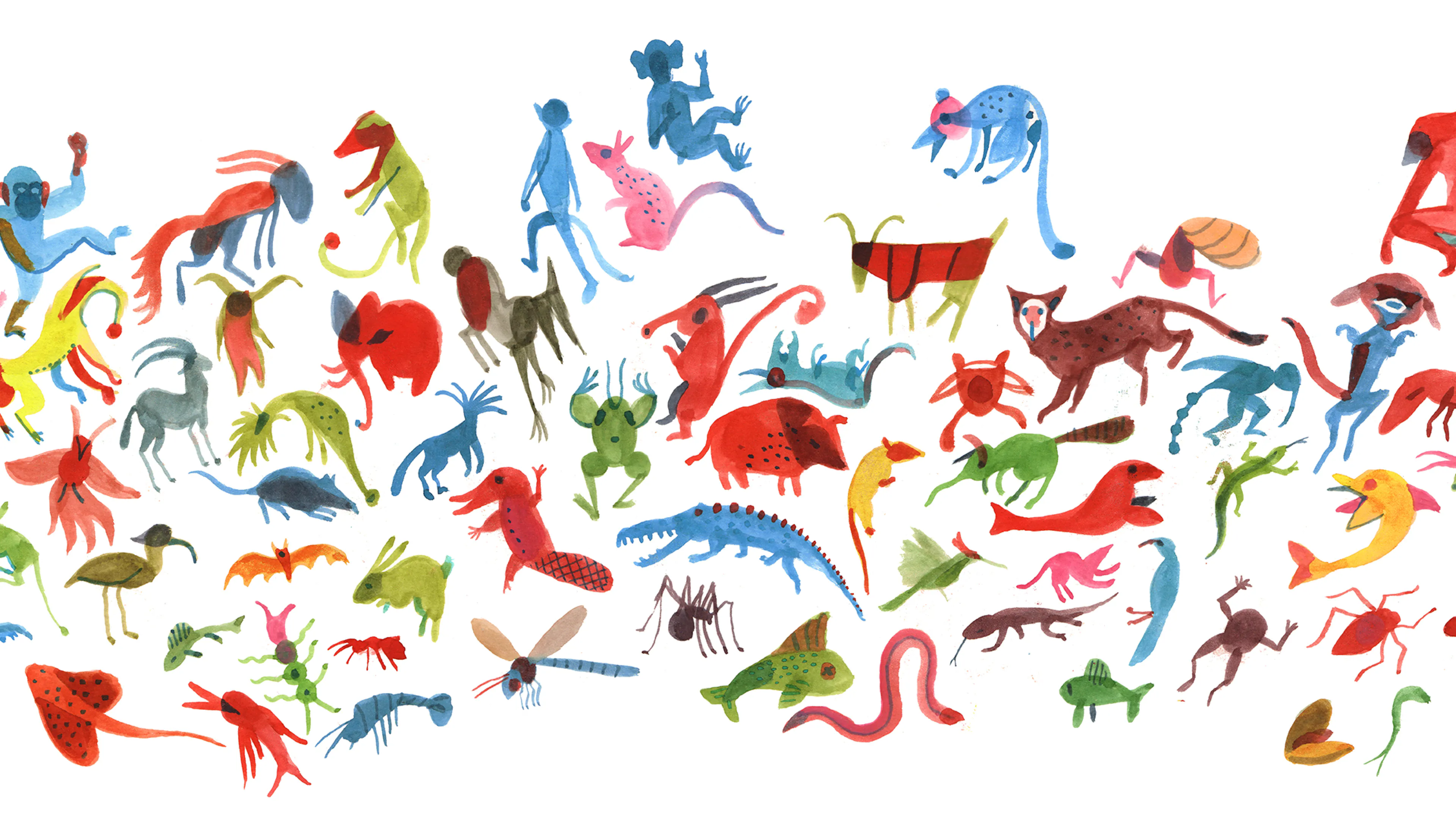 Illustration : Brecht Evens