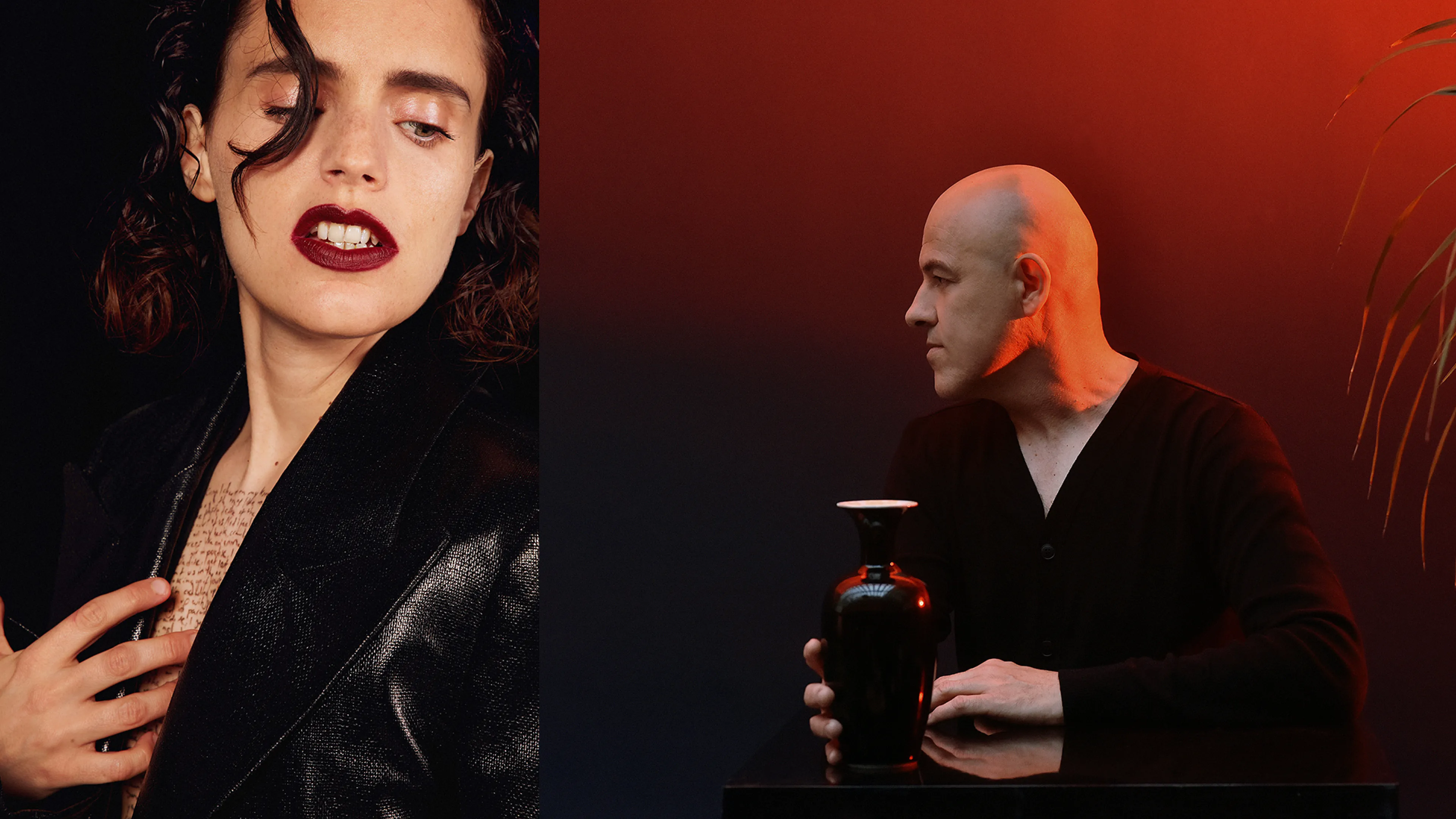 FI-O.jpg Anna Calvi et Dominique A 