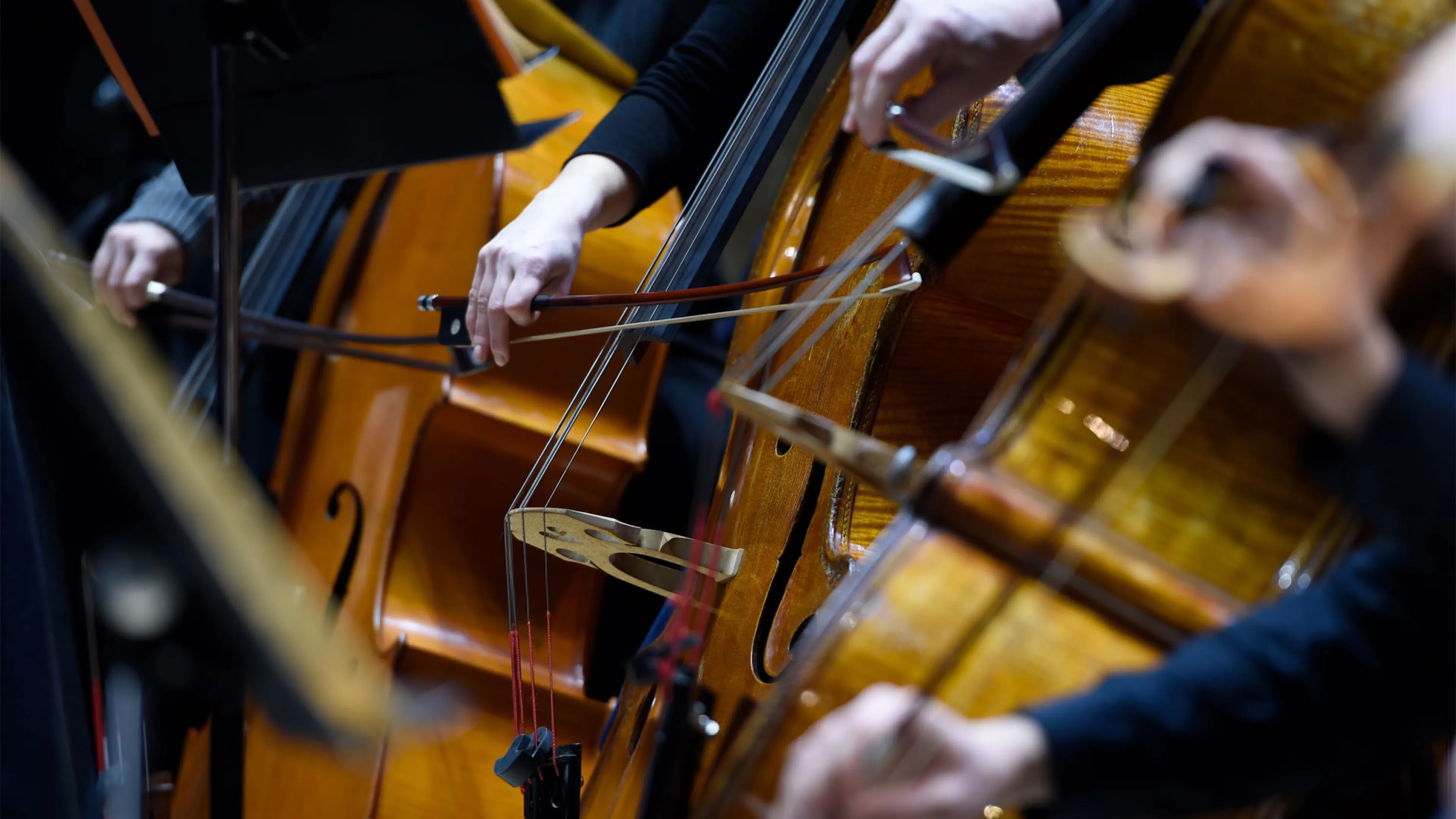 _ABR6344-O.jpg Les Contrebasses