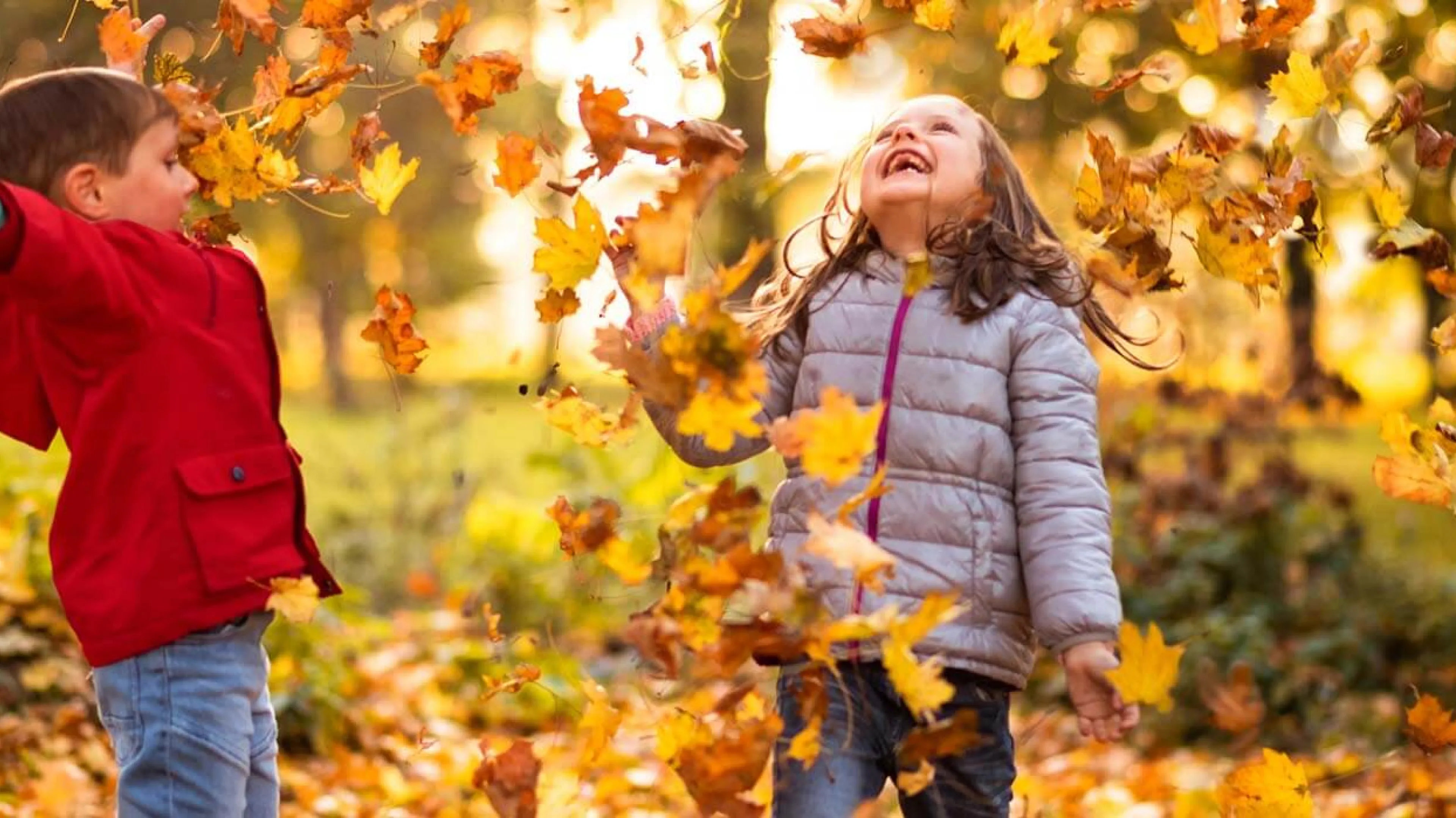 L'automne