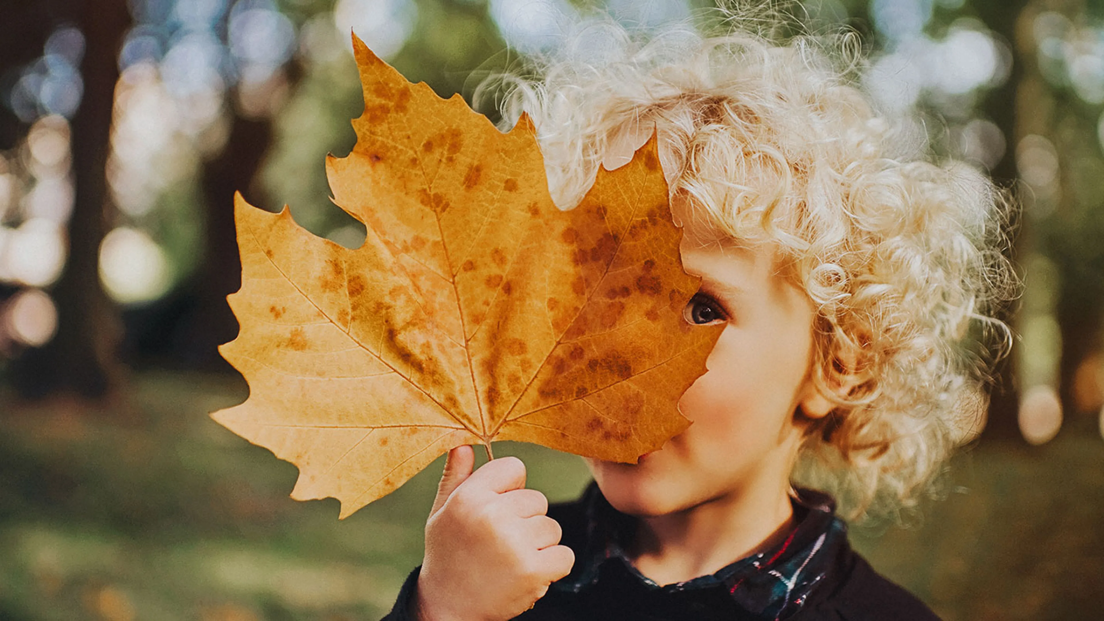 enfant avec feuille d'automne enfant avec feuille