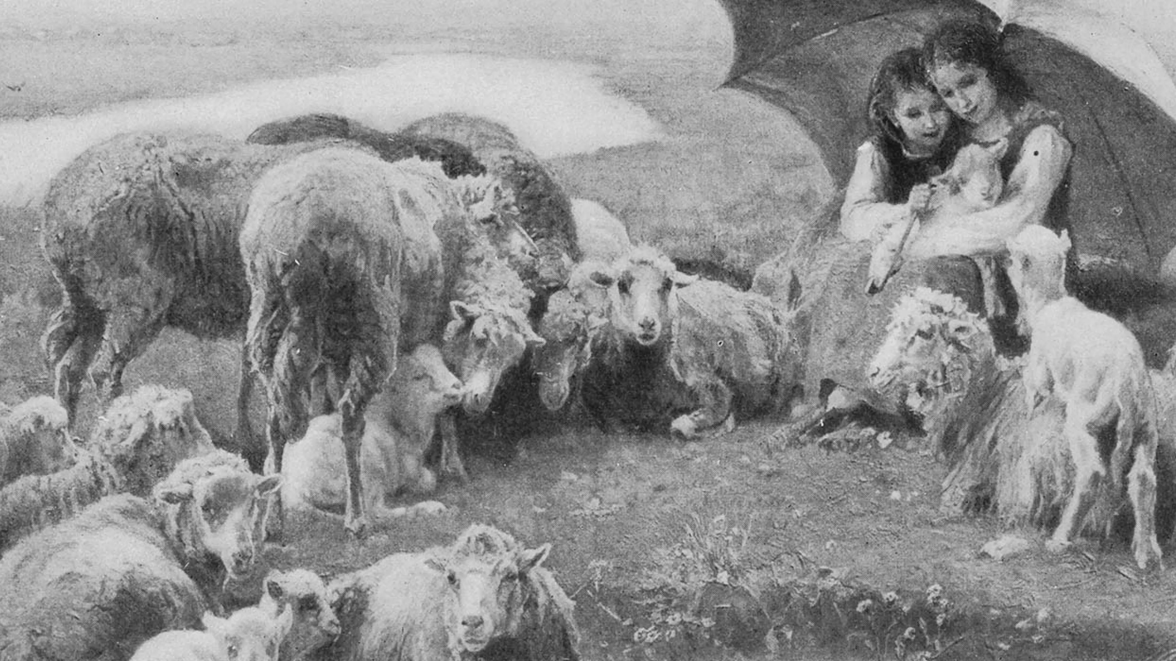 Bergères et moutons. Getty 2022 Bergères et moutons