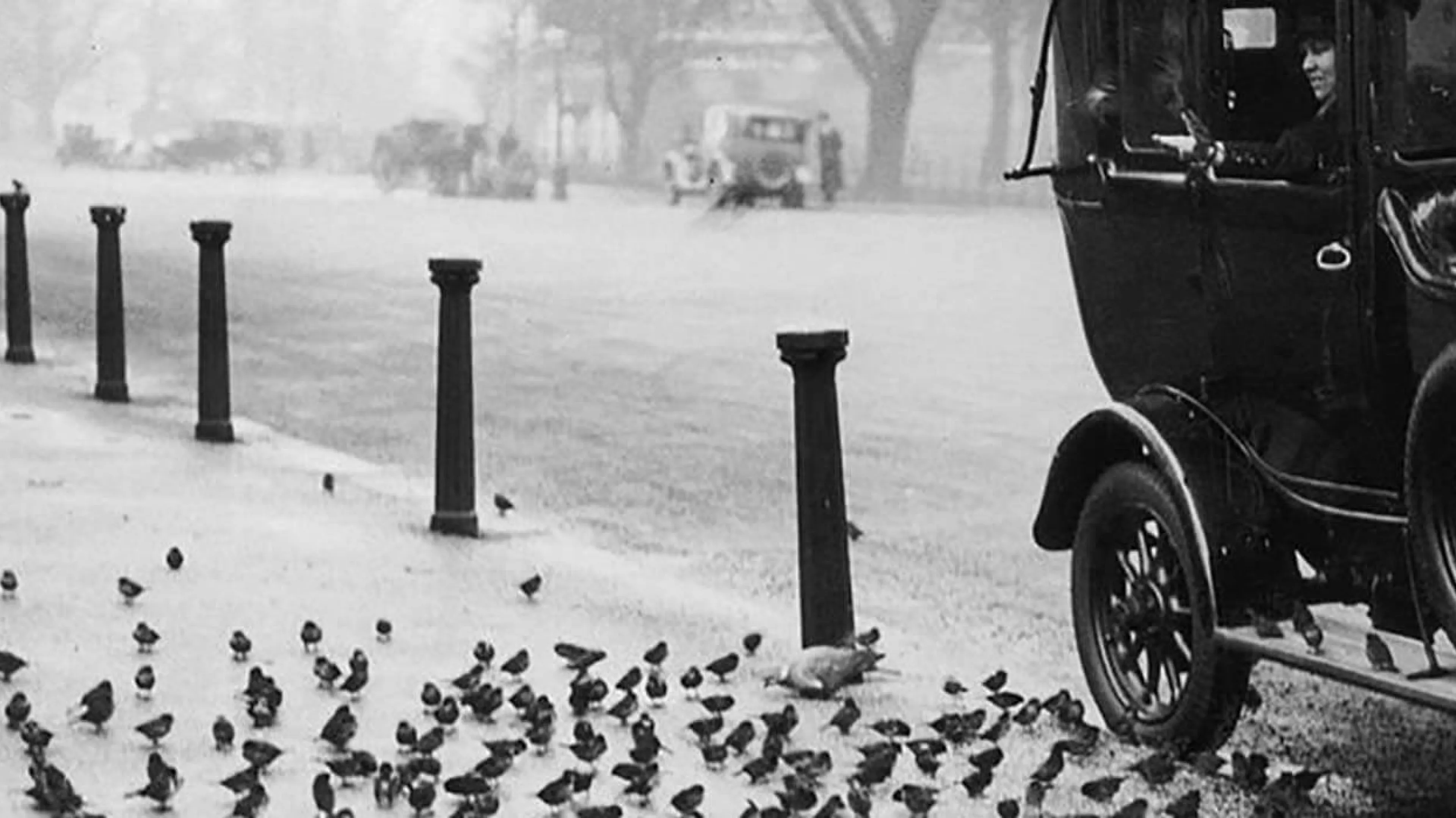 Dans la rue. Photo : Getty 2021 Dans la rue