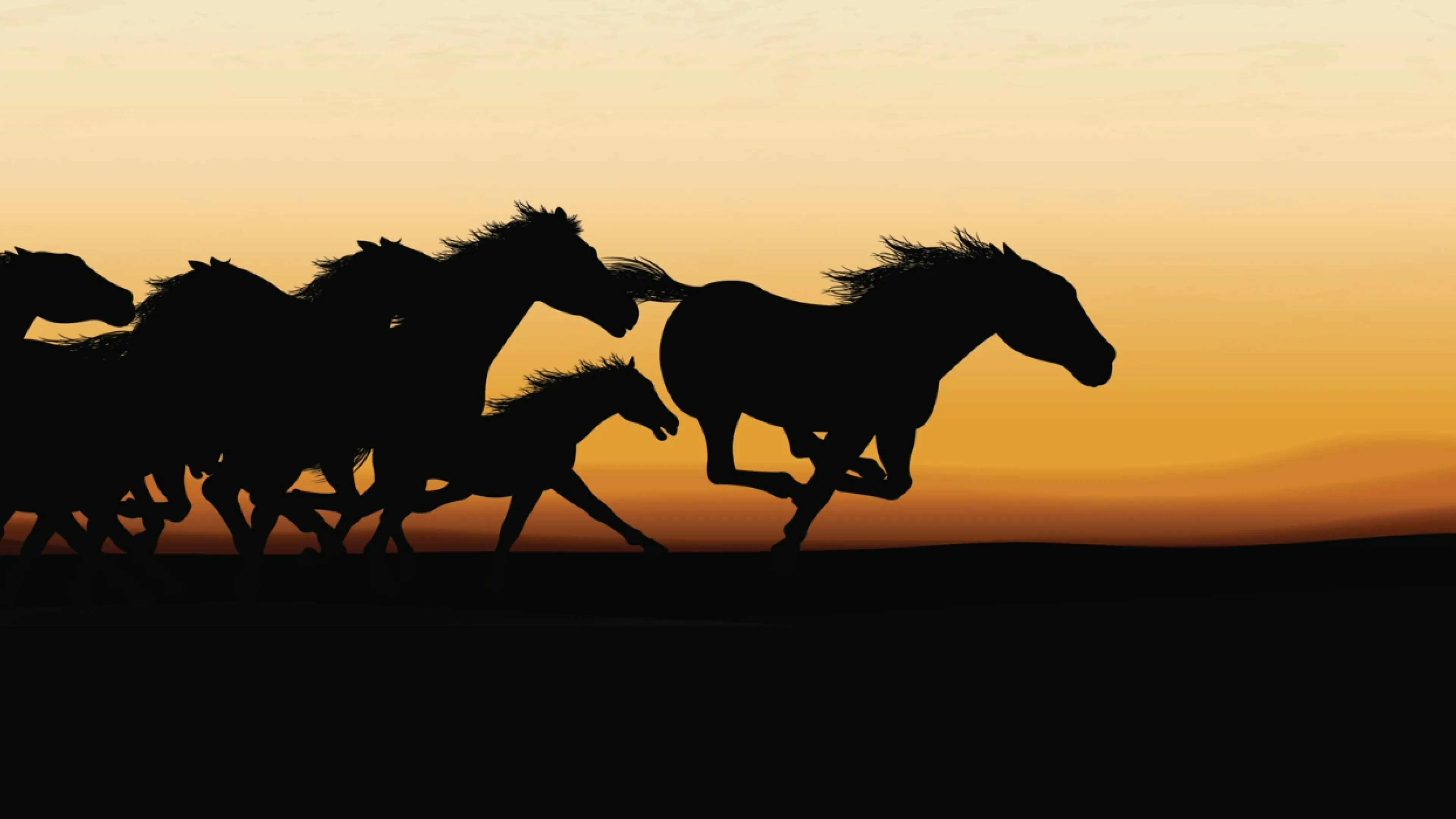 Galop infernal image