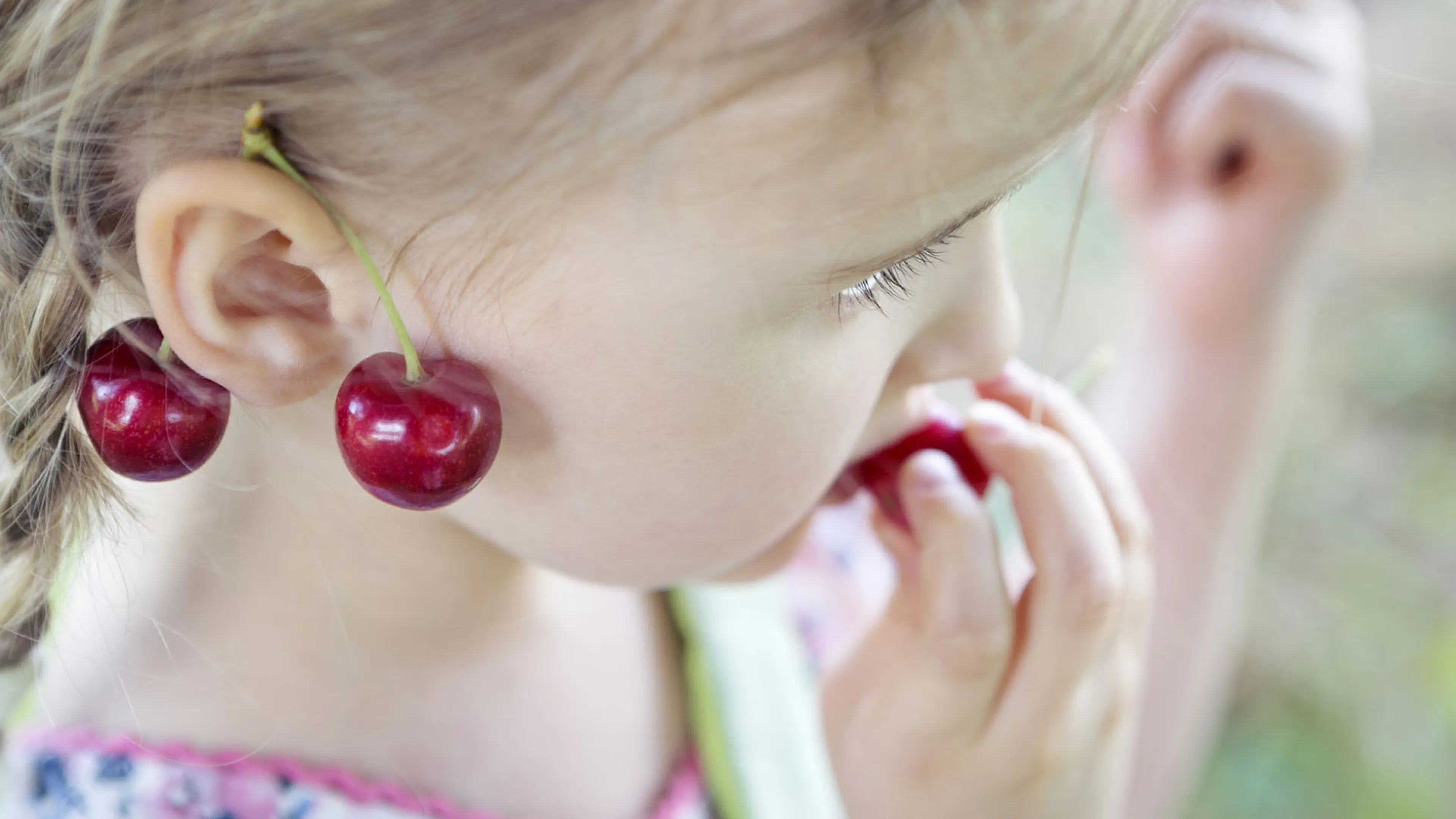 cerises cerises