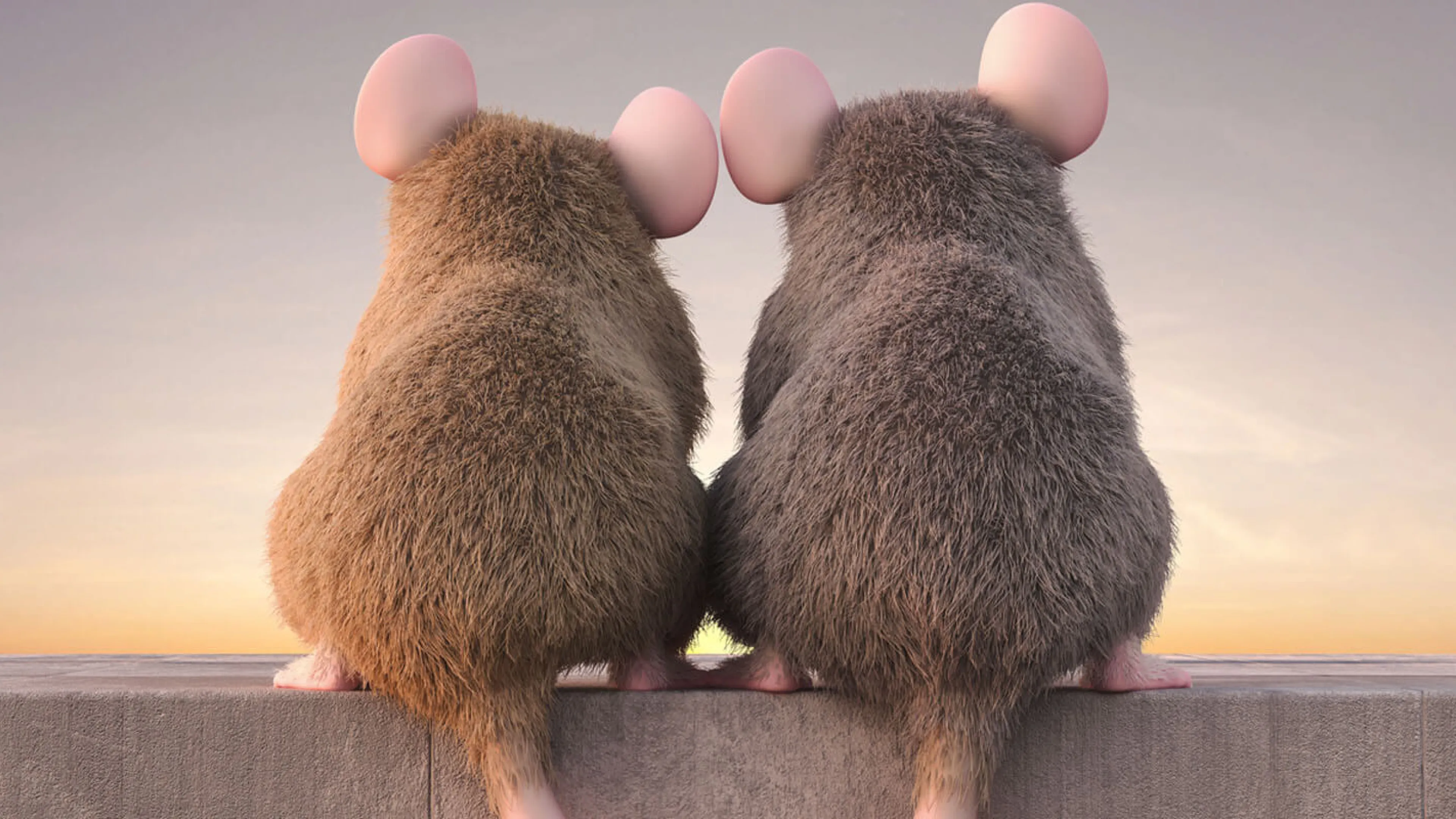 Visuel souris